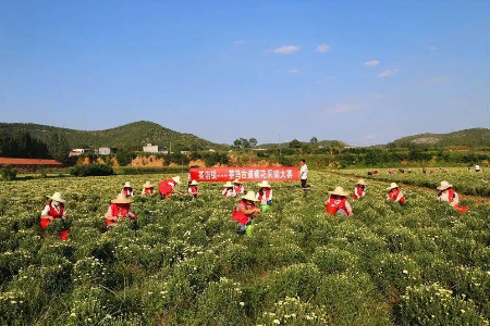 河南乡村振兴培训中心红旗渠4天乡村振兴培训方案_河南乡村振兴培训中心方案